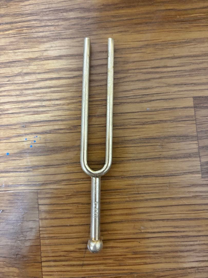 ギター詳細不明音出し確認済み TINNYBOY PORTER製ケース付き 現状品