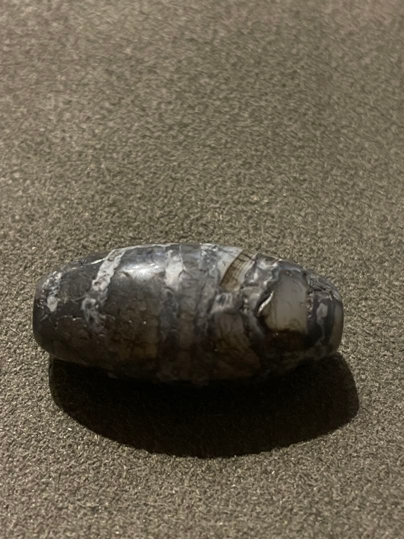 出土　双亀甲天珠