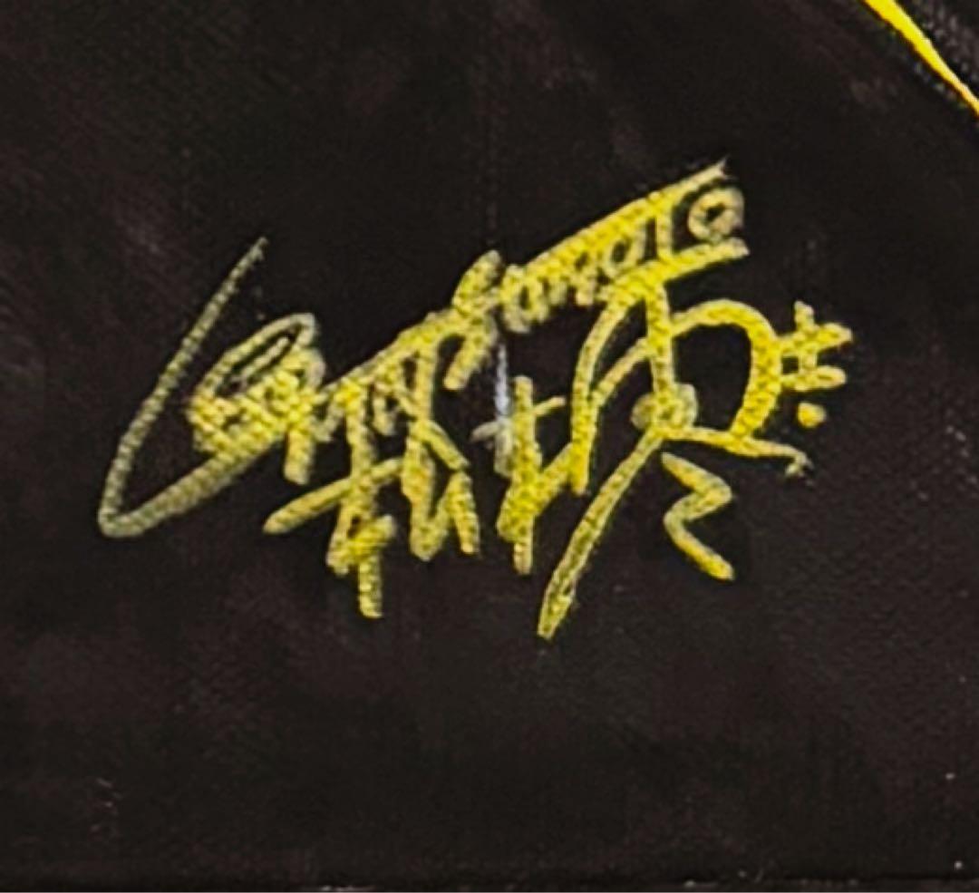 【F4号】手描き油彩　松本零士【銀河鉄道999】額縁　未使用額　サイン　メーテル