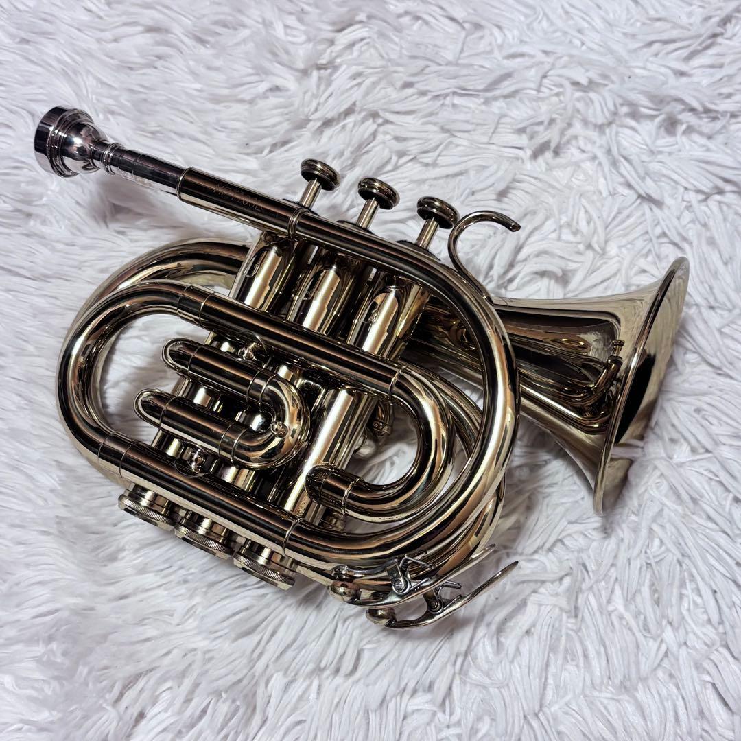 ポケットトランペット MPT100L Minerva ケース付き 金色　ラッカー