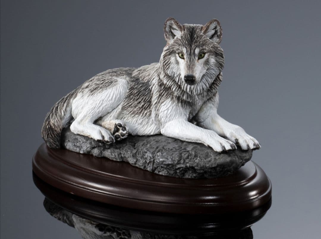 新品未開封 全4種コンプリート 野生のイヌ科動物 いきもの大図鑑