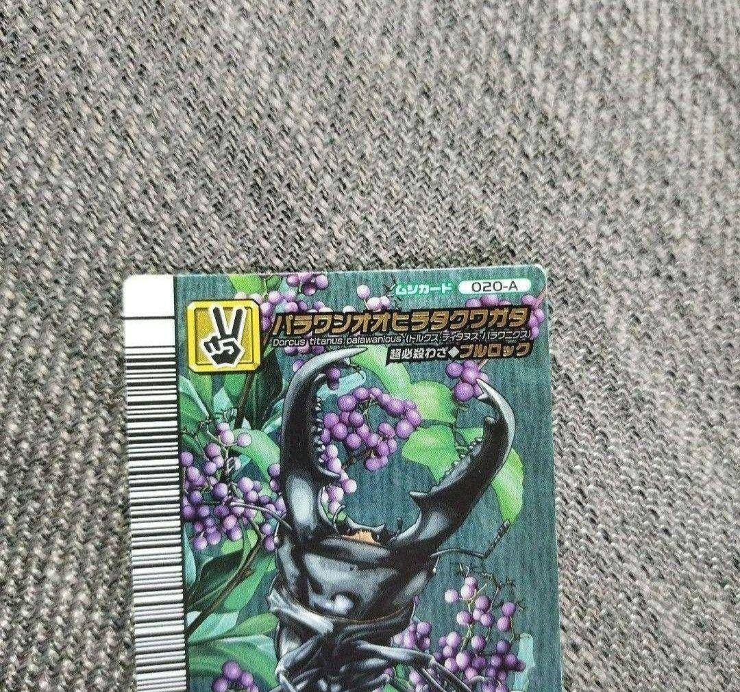 ムシキング5周年 アダーコレクション パラワンオオヒラタクワガタ