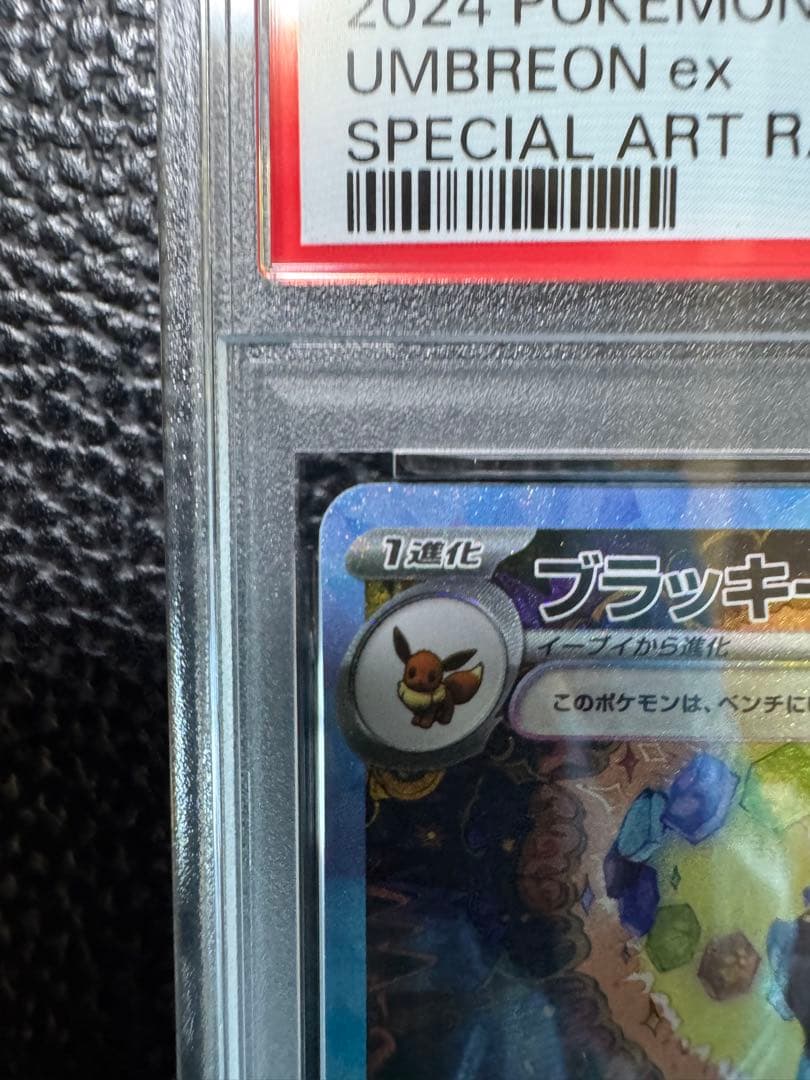 PSA10ブラッキーex SAR SV8a テラスタルフェスex 217/187