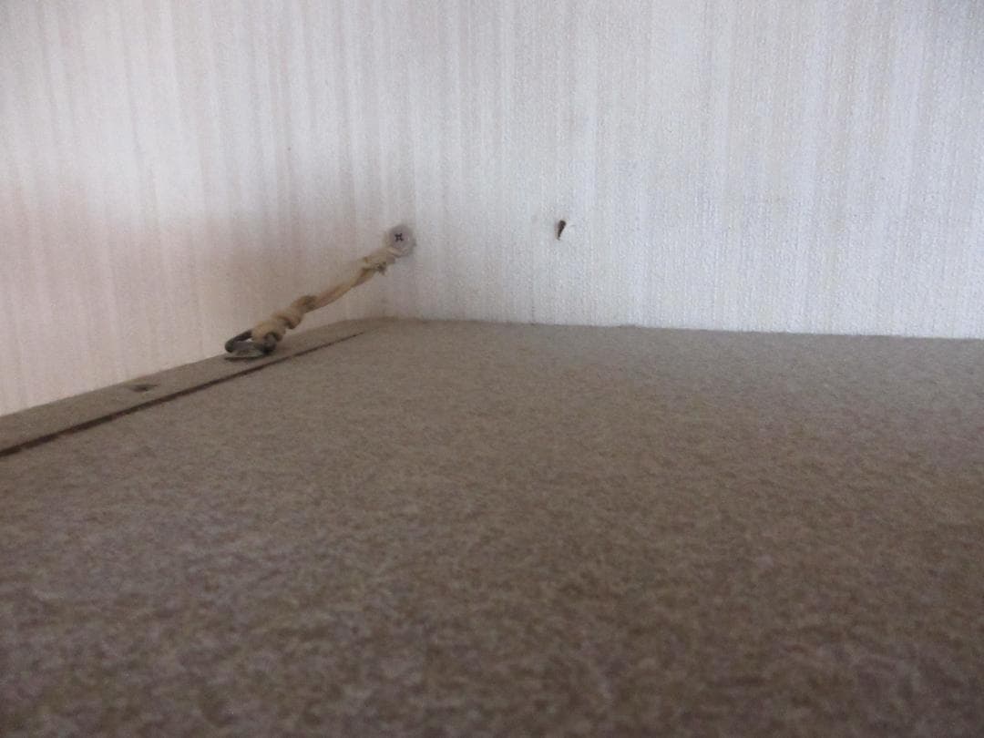 【ヴィンテージ】カリモク　ドマーニ　モーガントン　木製ガラスキャビネット　左側