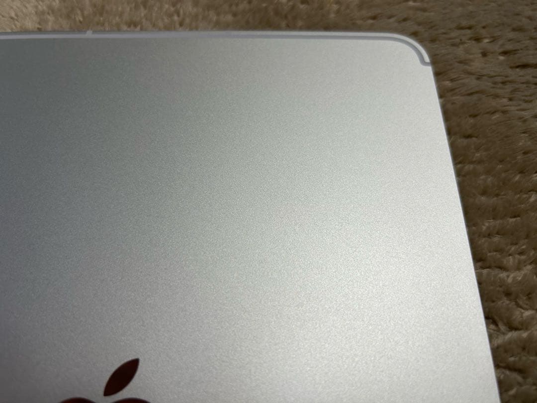 【美品】iPad Pro 11インチ 1TB Wi-Fi＋cellular