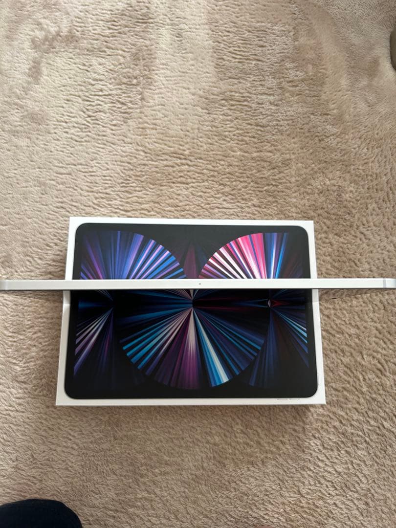 【美品】iPad Pro 11インチ 1TB Wi-Fi＋cellular