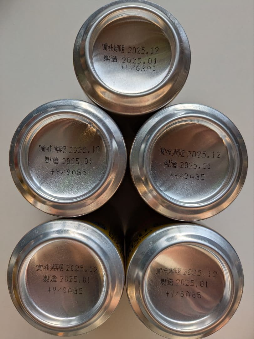 【賞味期限間近2025.12あり】エビスビール350ml 500ml各24本