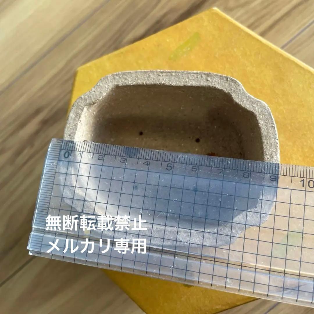 ミニ盆栽鉢　桑津香石　絵鉢　長方形　鳥　小品盆栽