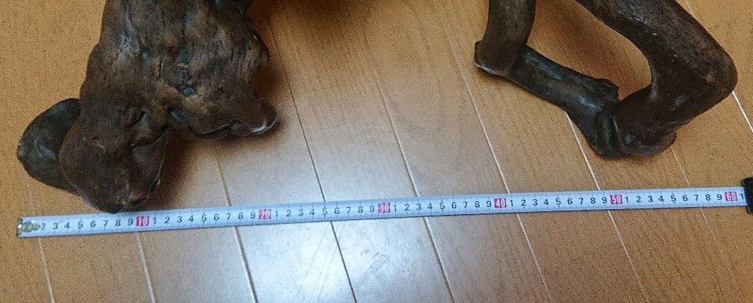 つつじの木 花台