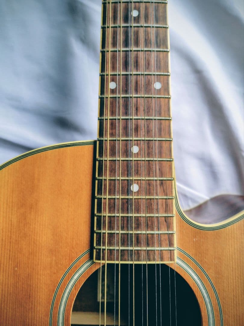 【12弦エレアコ】Ibanez ／弦高低め弾きやすい・ソフトケース付・値段応相談