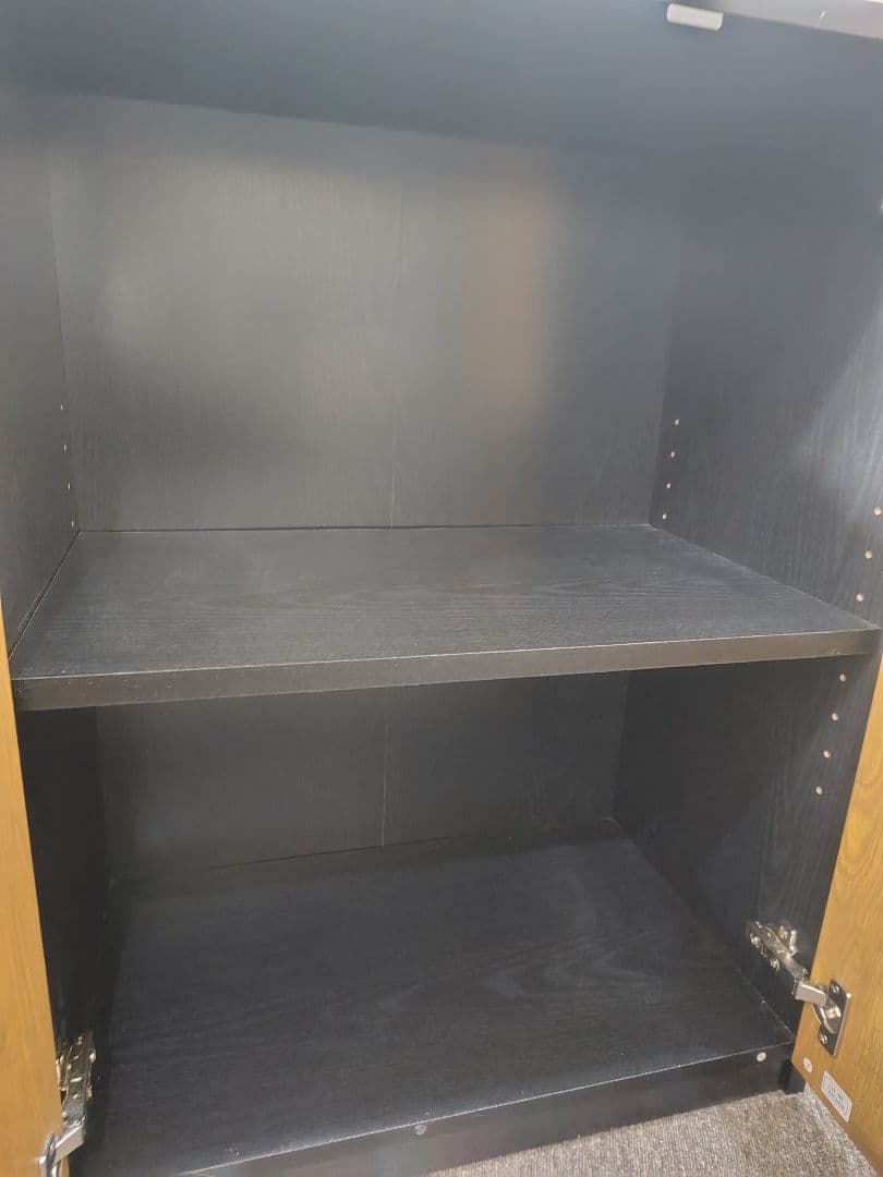 ペスパ2.0 木製キャビネット 2段 扉付き カギ付き ロータイプ　黒