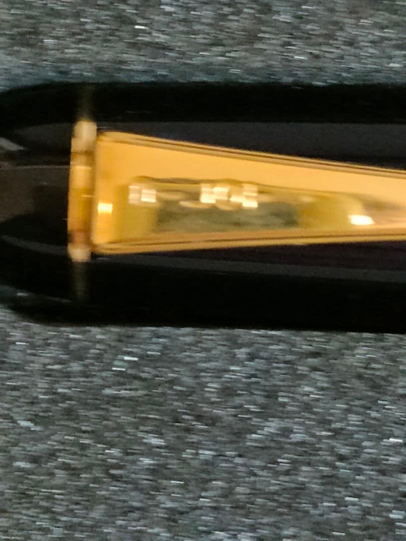 【新品未使用、非売品】PILOT 100周年記念 万年筆 黒 14K