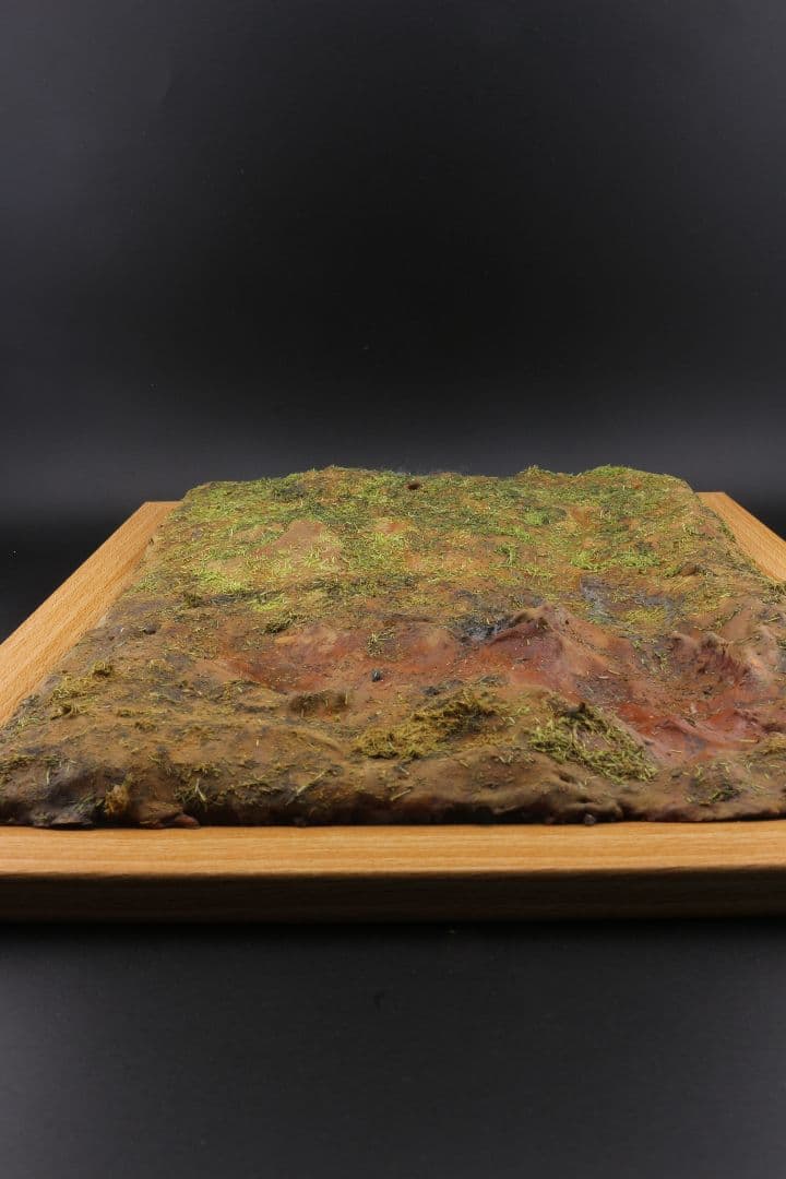 HGブラックナイトコードジヴァ　ストライクフリーダム　ジオラマ　塗装済み　完成品