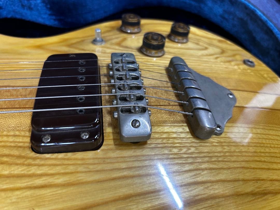 Greco ギター(ハードケース付き)