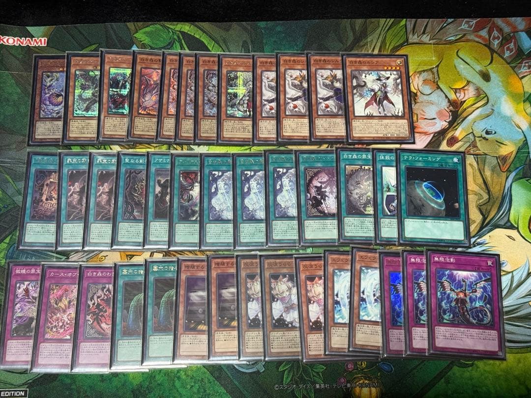 遊戯王OCG 構築済み　黒魔道　白き森　エルフェンノーツ