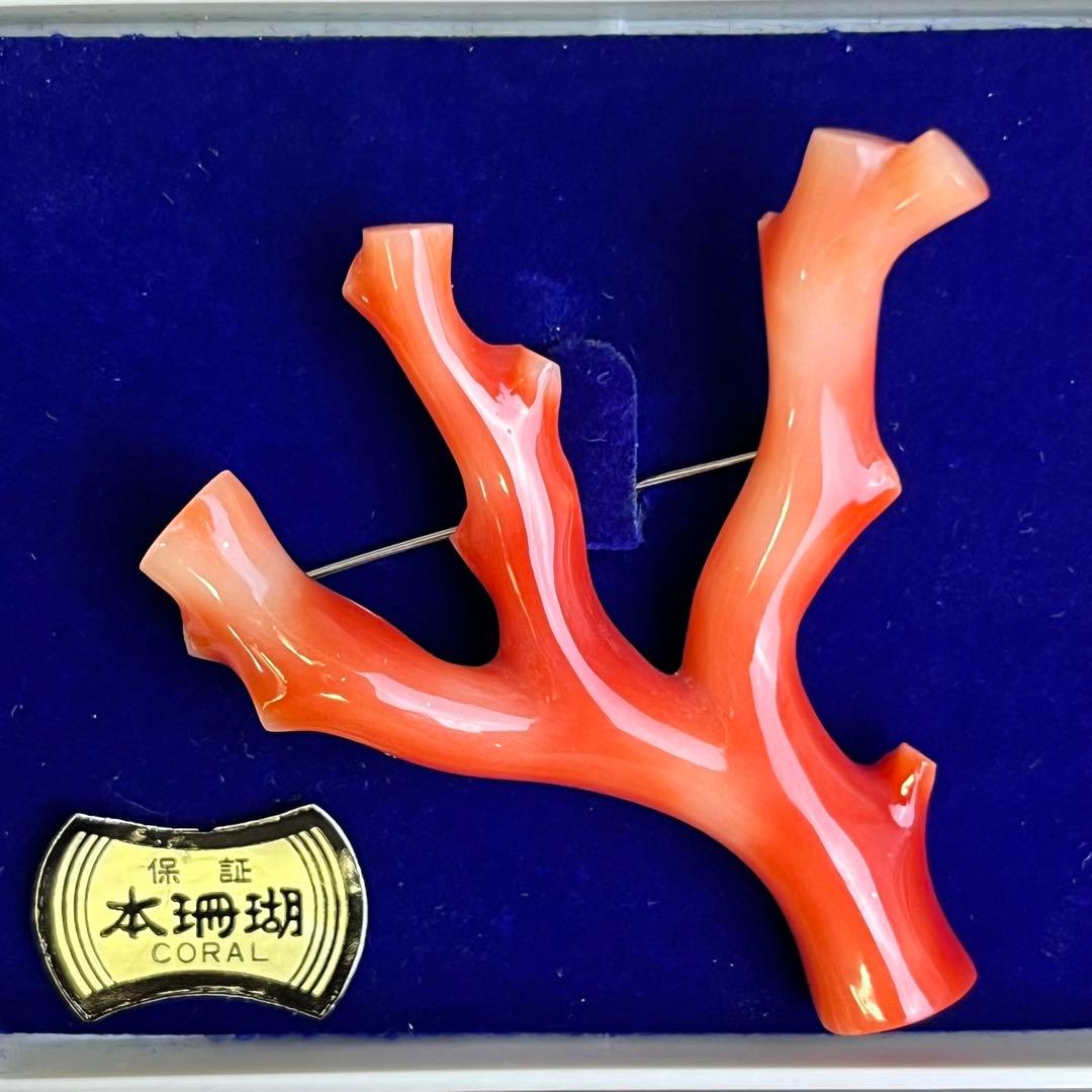 本珊瑚 珊瑚 枝珊瑚 さんご ブローチ 高知 総重量 12.7g