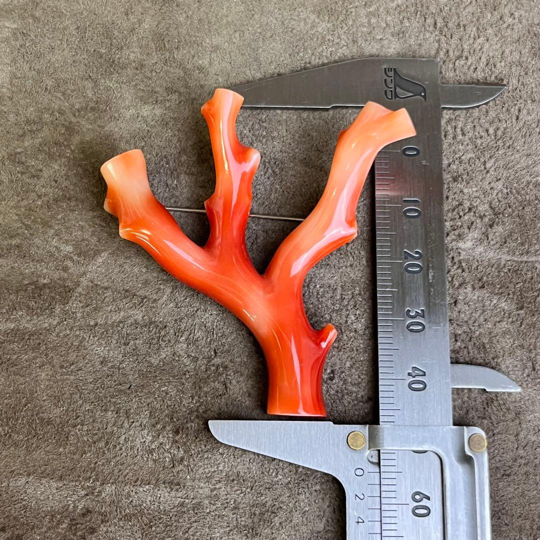 本珊瑚 珊瑚 枝珊瑚 さんご ブローチ 高知 総重量 12.7g