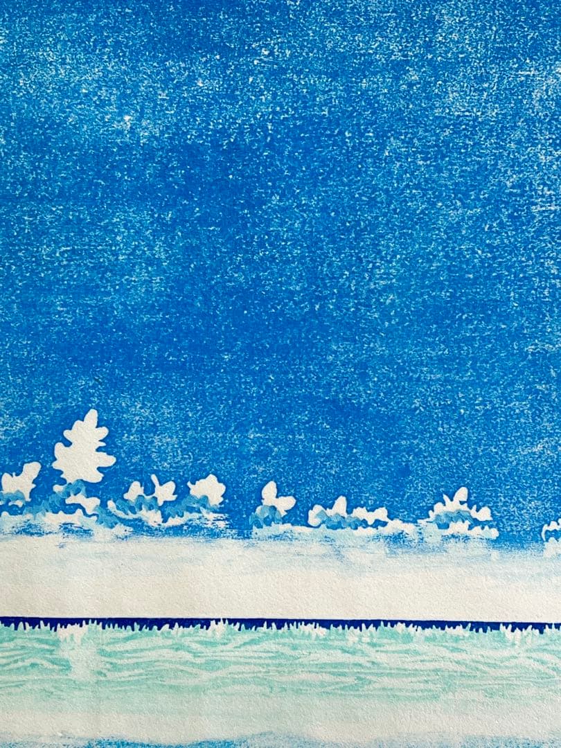 #『Southern blue 』　カノコダカラ貝