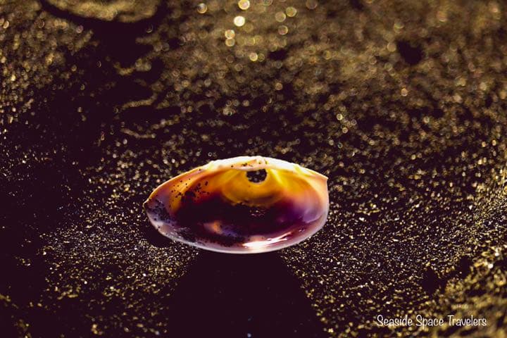 アートパネル フォトパネル アクリル A5サイズ