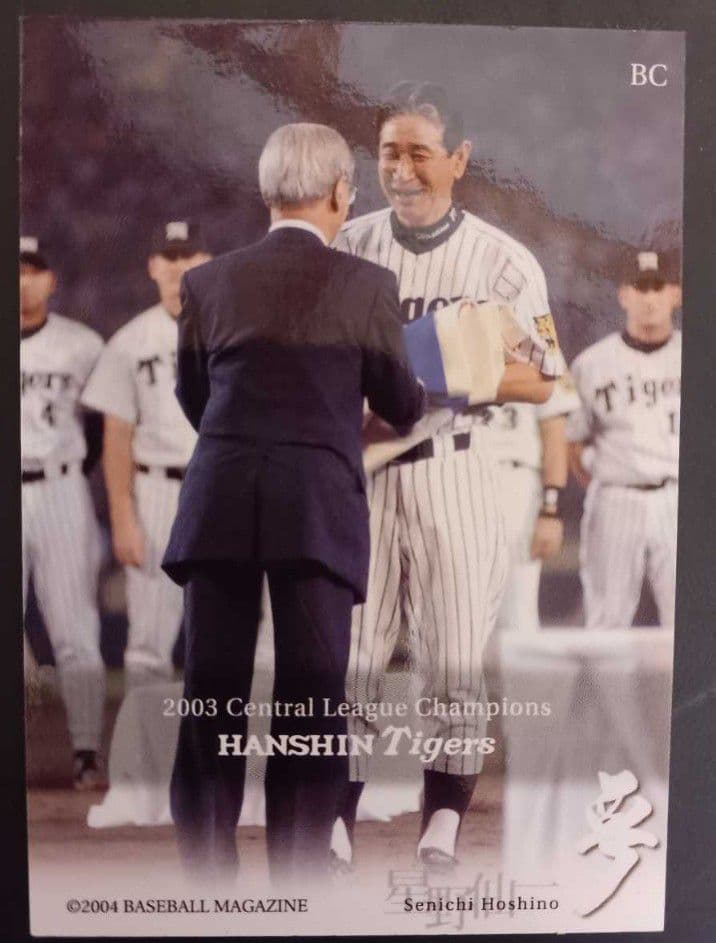 ✳️大切にしてくださる方にお譲りします✳️BBM04星野仙一セット　ボールカード