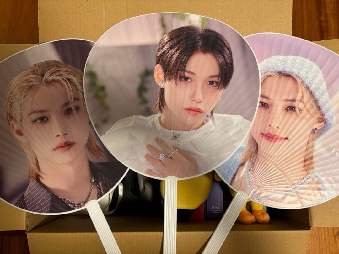 Stray Kids アルバム・ペンライト・うちわ・SKZOOセット