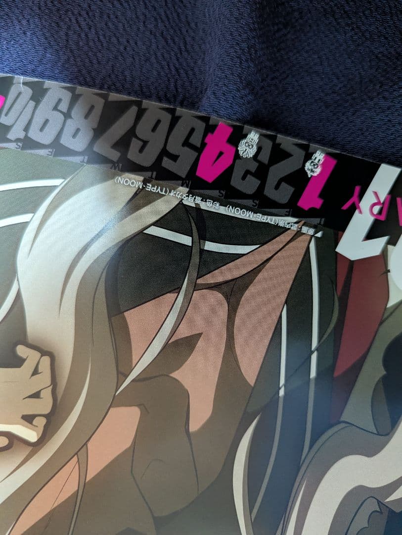 【レア】　ダンガンロンパ　ダンロン　ポスター　武内崇　TYPE-MOON　1点