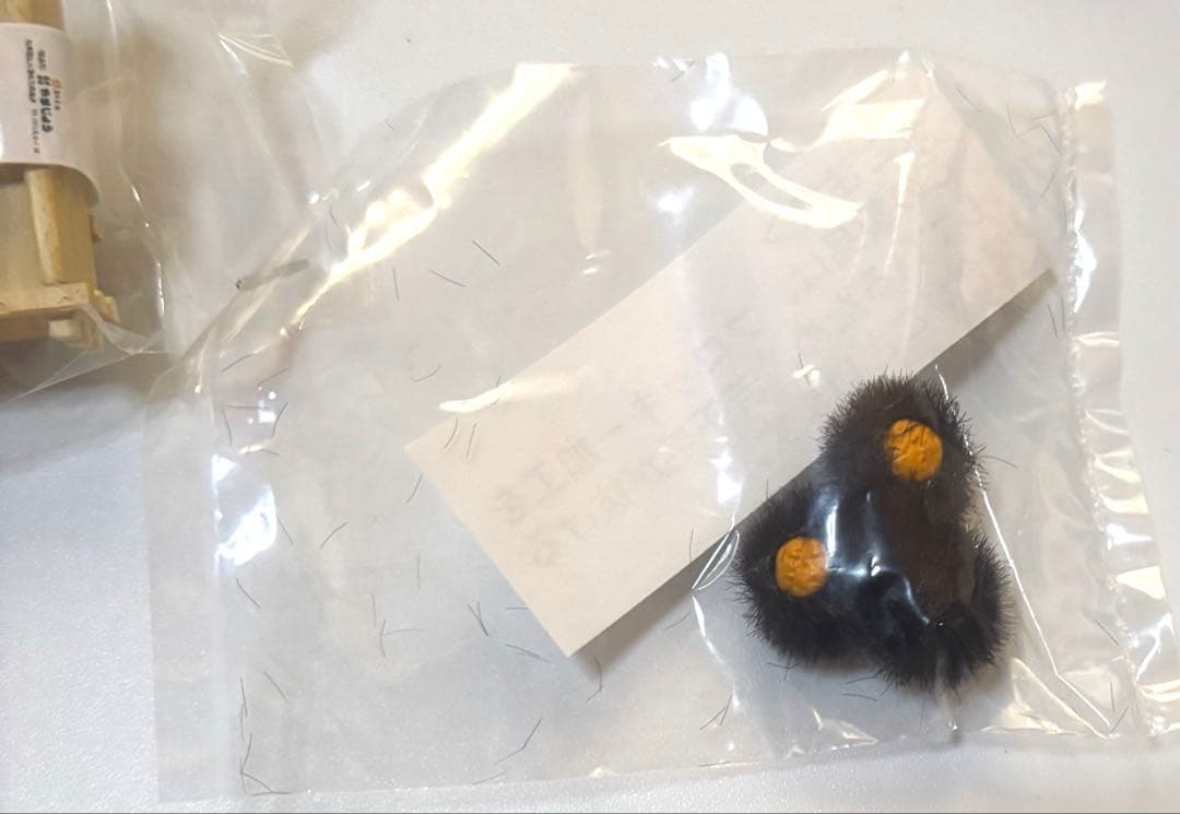 リーメント　産地直送もぎたてパック