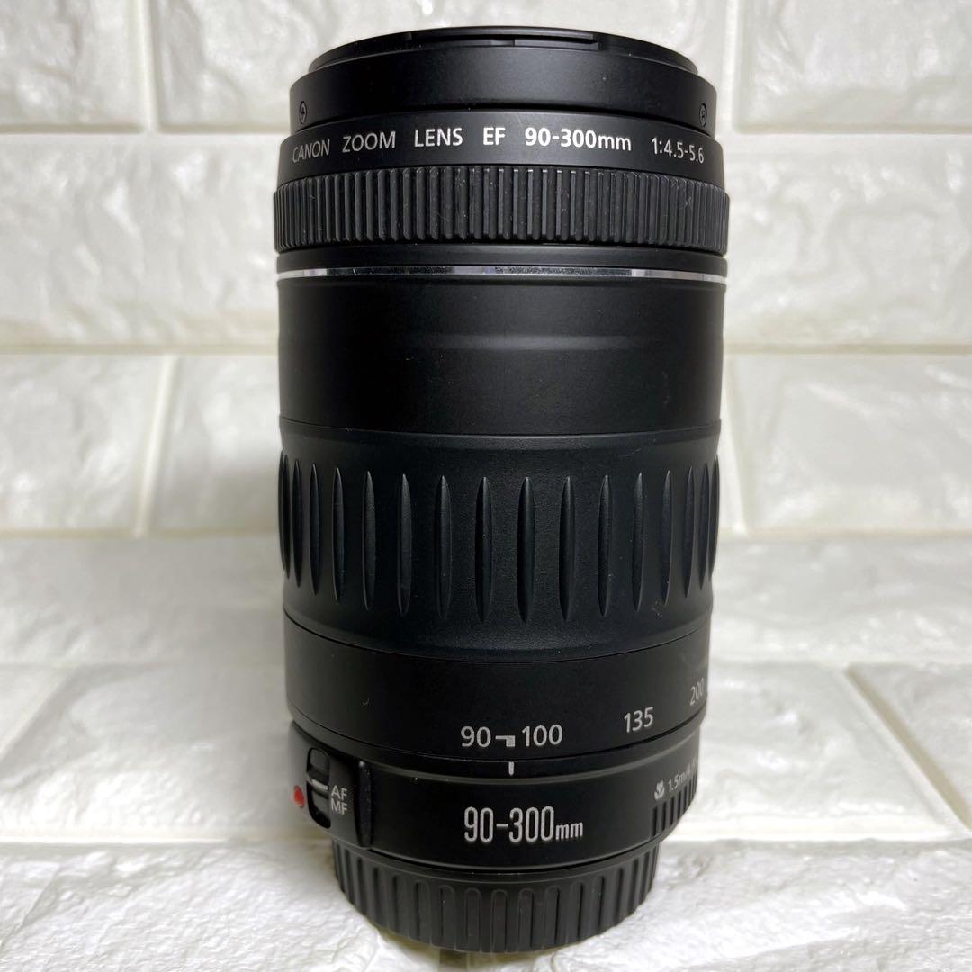 Canon EF 90-300㎜ 超望遠レンズ キャノン ズーム