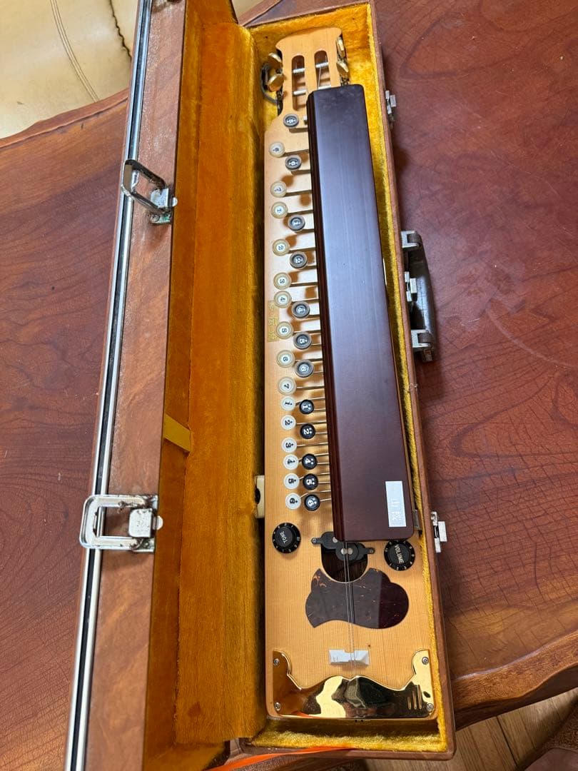 大正琴 ケース付き 13弦