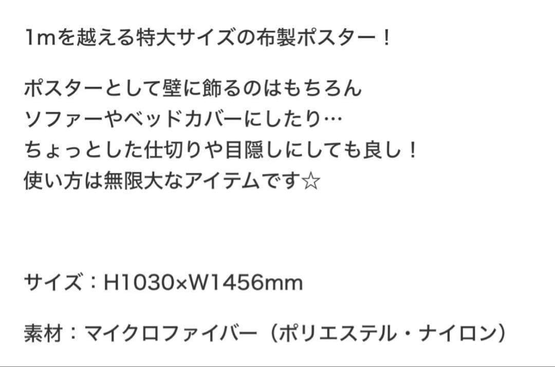 Nissy NEP限定 パズル&ファブリックポスター セット