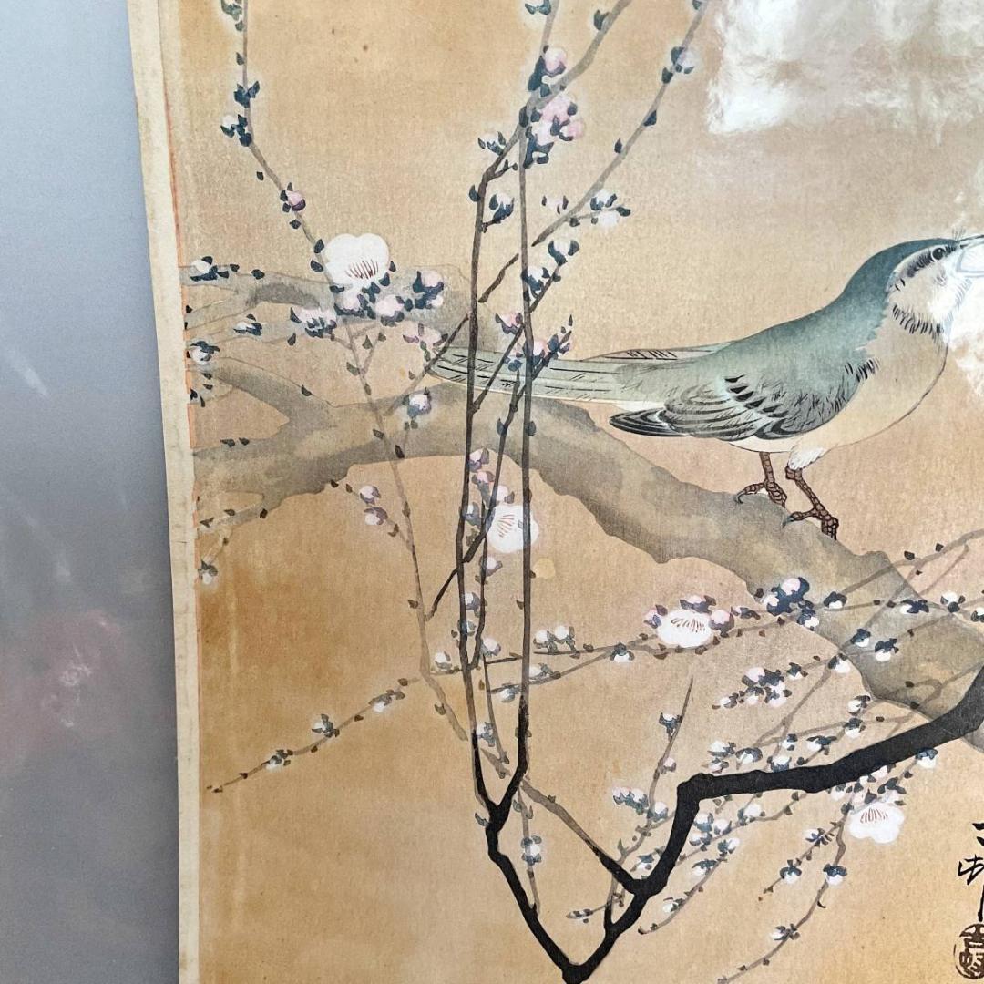 小原古邨 祥邨 豊邨 『梅に鶯』 明治後期作 木版画 真作 美品 鳥 ウグイス