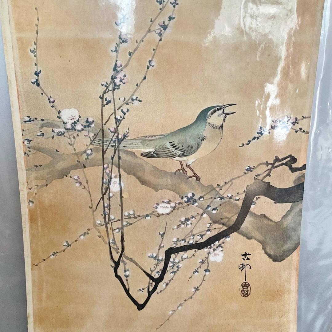 小原古邨 祥邨 豊邨 『梅に鶯』 明治後期作 木版画 真作 美品 鳥 ウグイス