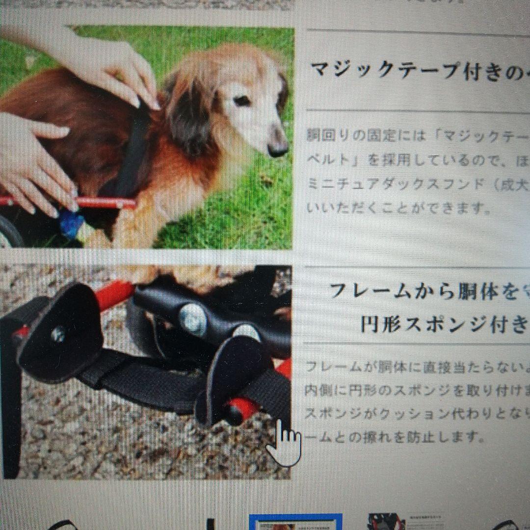 新品　　ミニチュアダックスフンド専用ドッグウォーカー 車いす