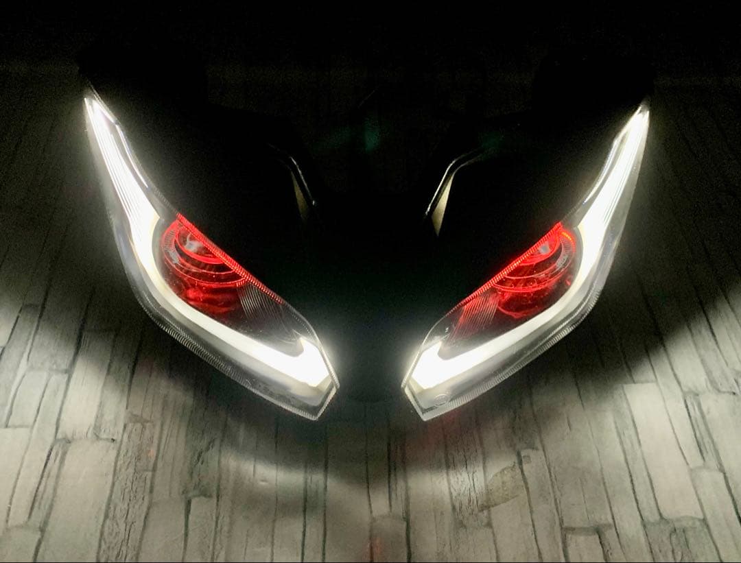 カスタム ヘッドライト NINJA250 ZX-6R ニンジャ250 イカリング