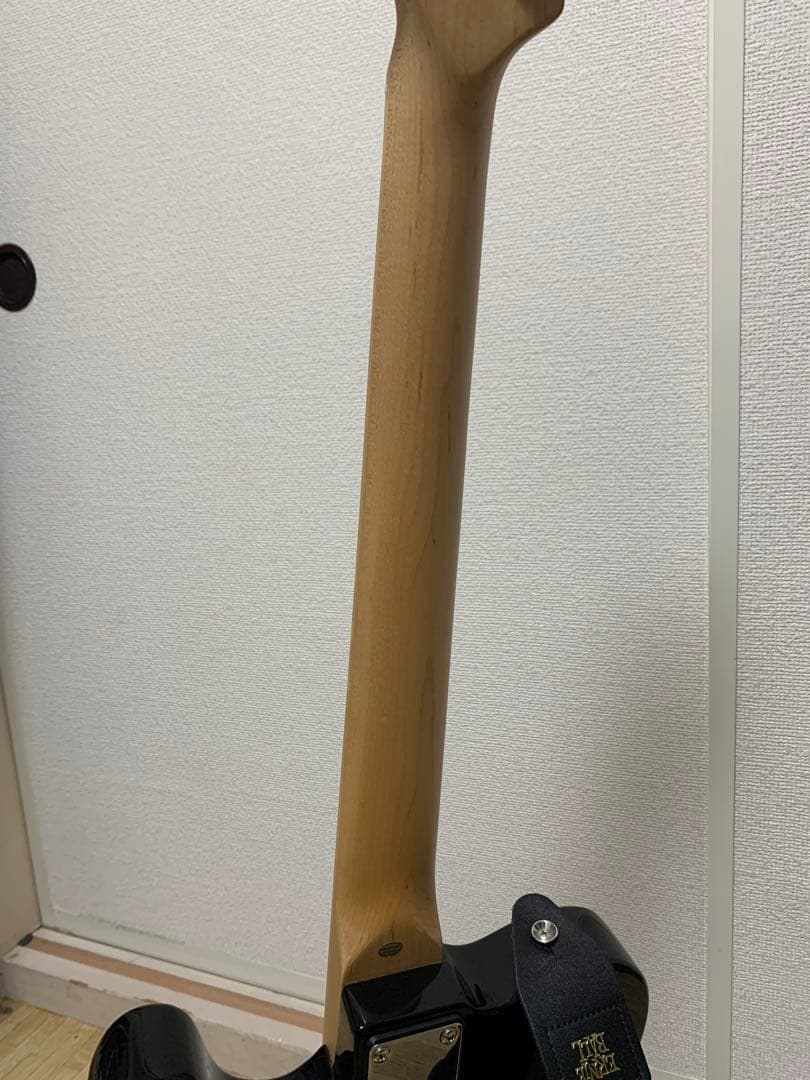 PLAYTECH プレイテック　テレキャスター　エレキギター