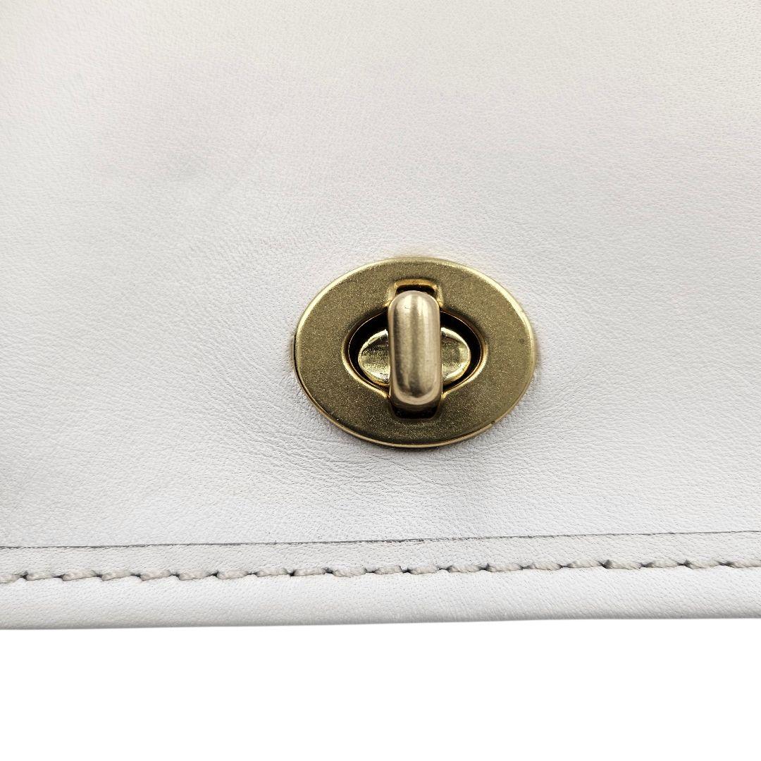 さくらにゃんこ