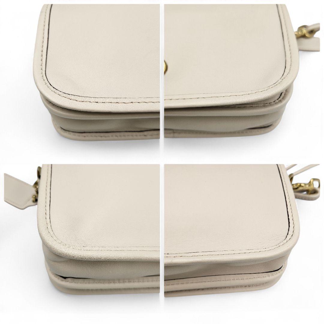 さくらにゃんこ