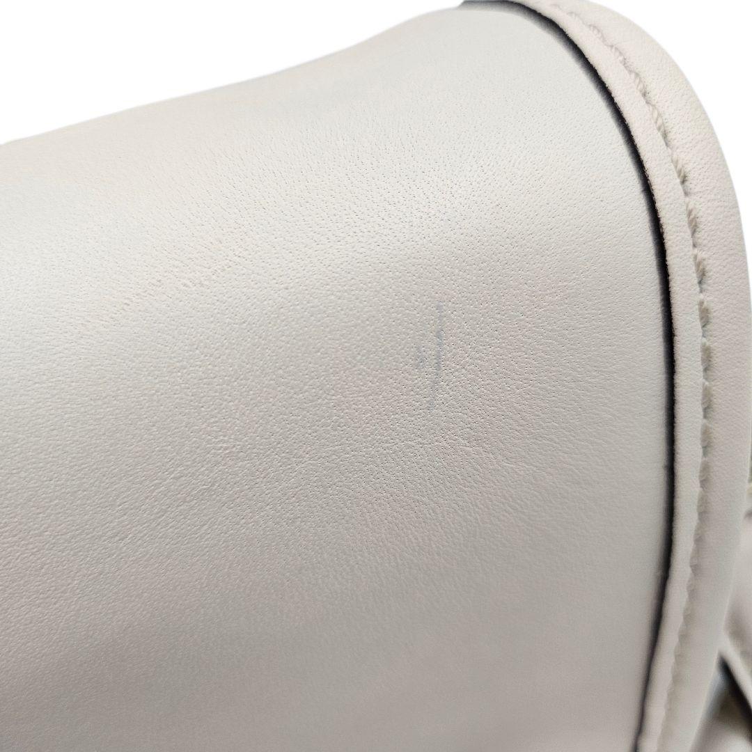 さくらにゃんこ