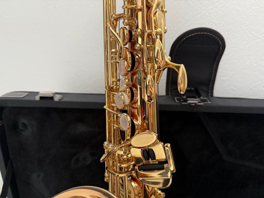 YANAGISAWA アルトサックス A-WO2