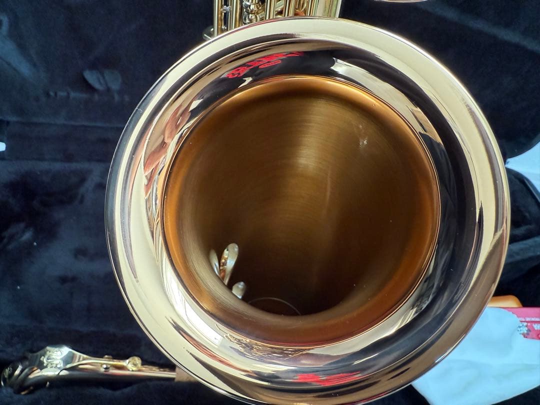 YANAGISAWA アルトサックス A-WO2