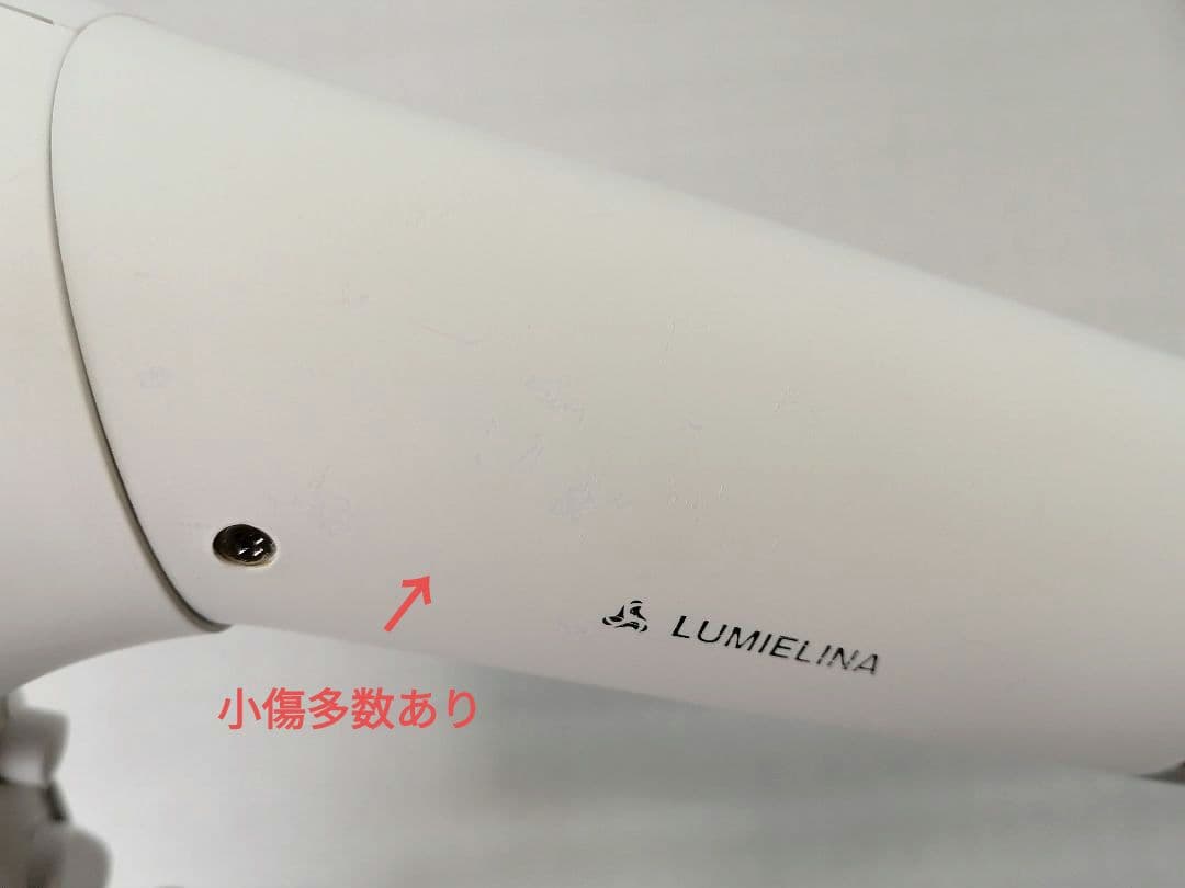 REP3D-G-JP　リュミエリーナ 　レプロナイザー 3DPlus　011