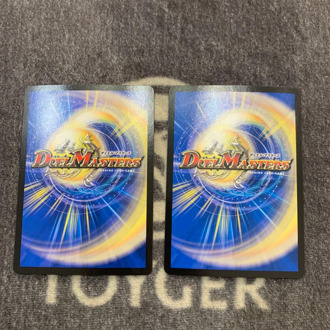 パーフェクトペテンシー　2枚セット