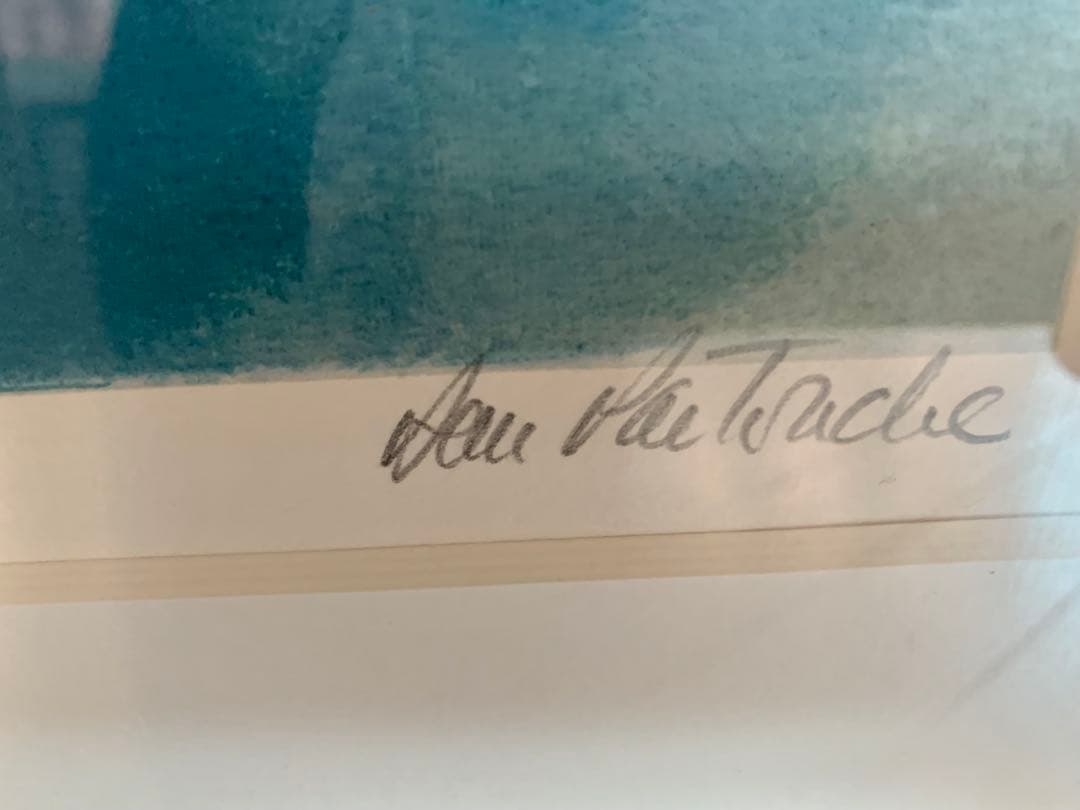 希少　大判リトグラフ　ダン・パルトゥシュ　「シクラメン」