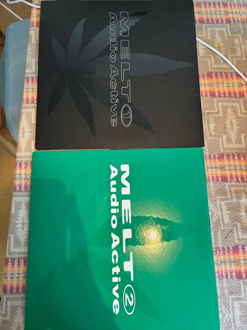 AUDIOACTIVE MELT1.2 レコード