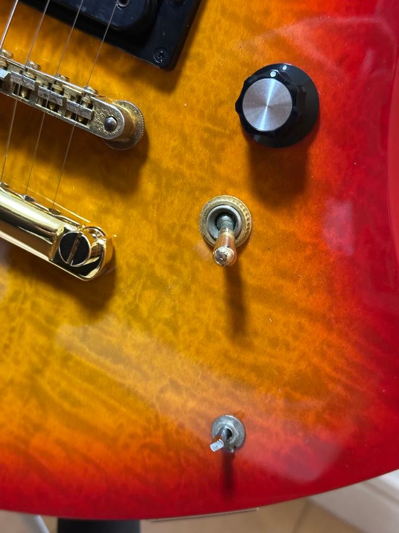 ギター FERNANDES Burny hide MG-85X