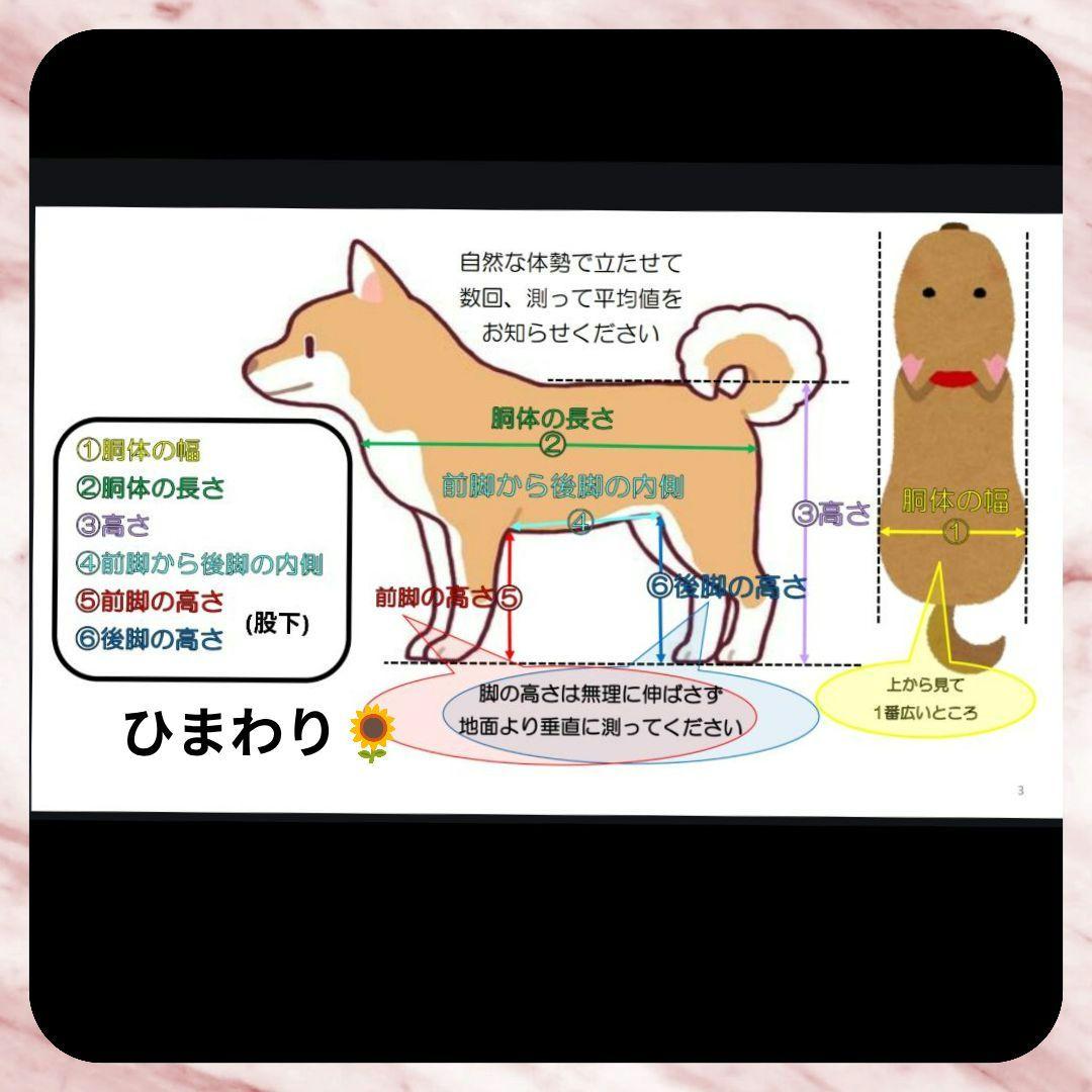 ワンちゃん4輪　リハビリ　食事補助　犬用車椅子　歩行補助　犬の歩行器