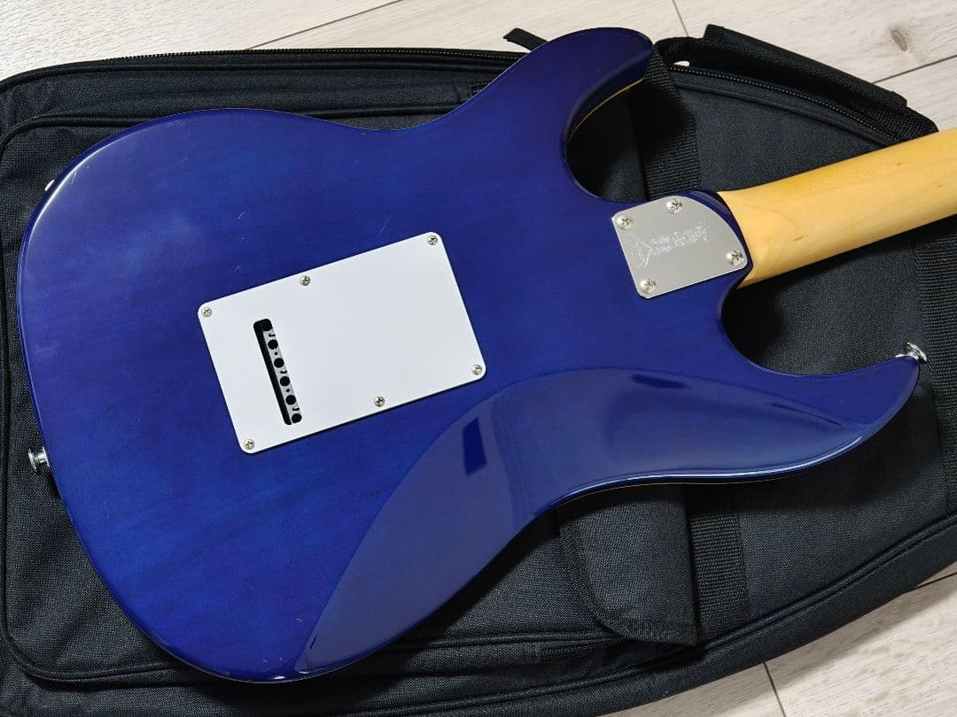 ギター FUJIGEN FGN JOS2-FM-R JBT