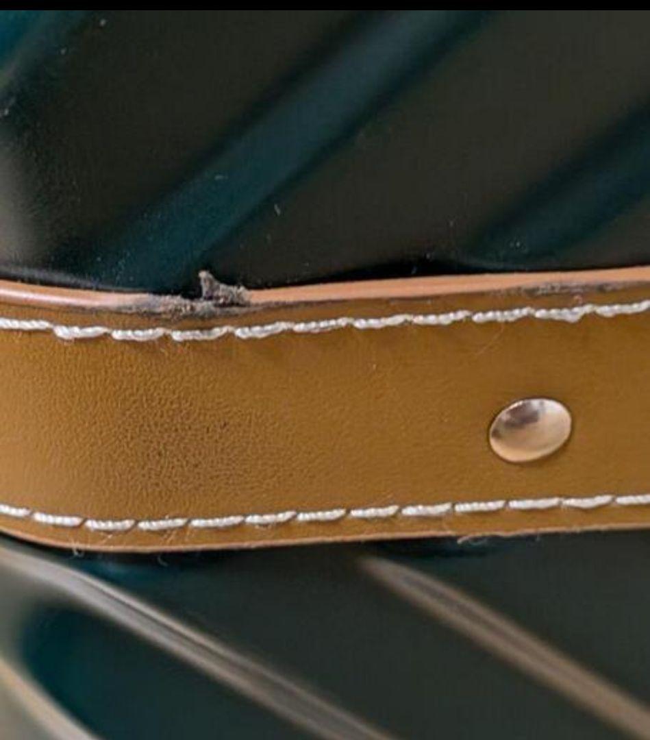 モアエルグ スーツケース キャリーケース Sサイズ TSA (Ｓ, グリーン)