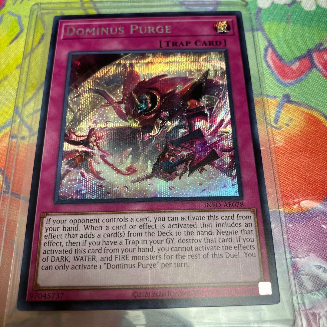 泰亜　聖王の粉砕　シク