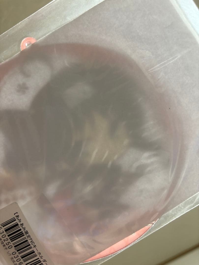 常陸茉子 1/7 スケールフィギュア あみあみ限定版